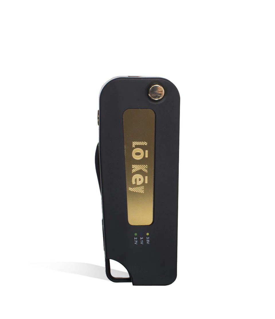 Photograph of product: Lokey 2 | Car Key Battery | Assorted Colors