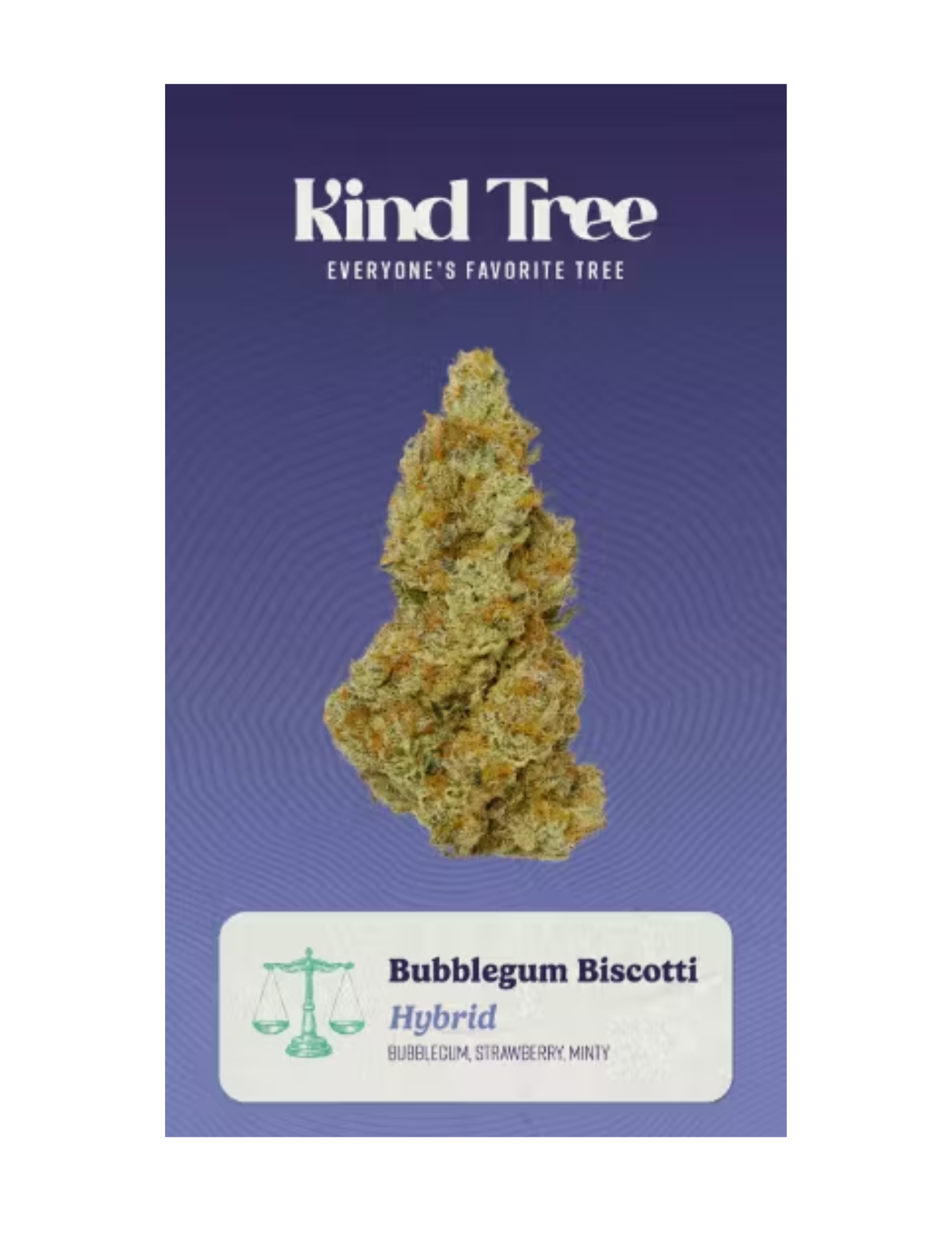 Photograph of product: Bubblegum Biscotti - Bud - 3.5g