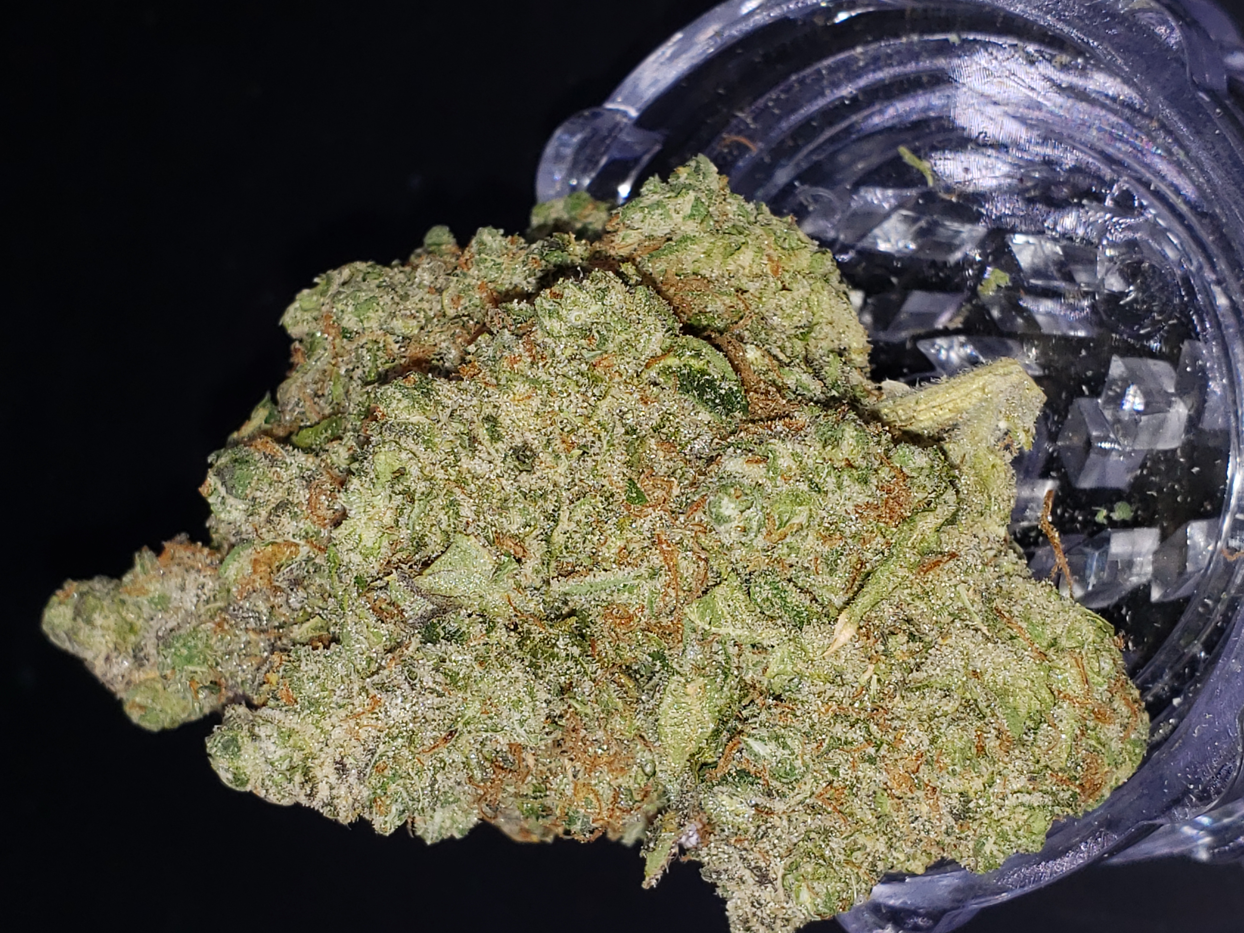Photograph of product: Premium Shelf - Northern Crunch (S) - 28g