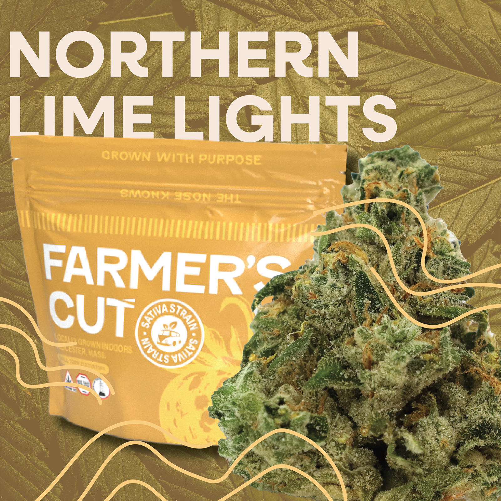Photograph of product: Northern Lime Lights | Farmer's Cut | - 3.5g