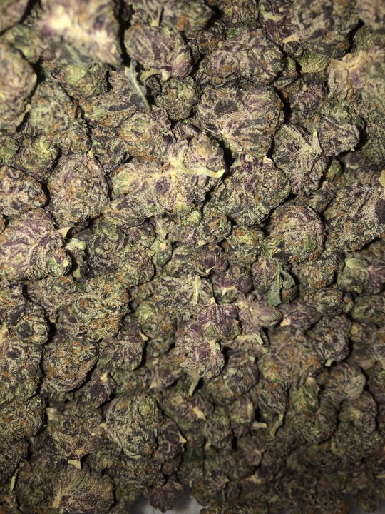 Photograph of product: B Bud Ice Cream Cake (Hotbox Farms)