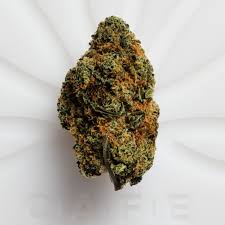 Photograph of Product: Evo | Gas Mask | 1G Full Flower Pre-Roll
