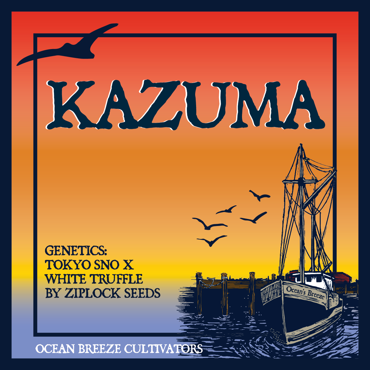 Photograph of product: Kazuma | Live au chocolat Rosin | Jam (TAX INCLUDED)