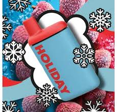 Photograph of product: Disposable | Staycation (H) Holiday