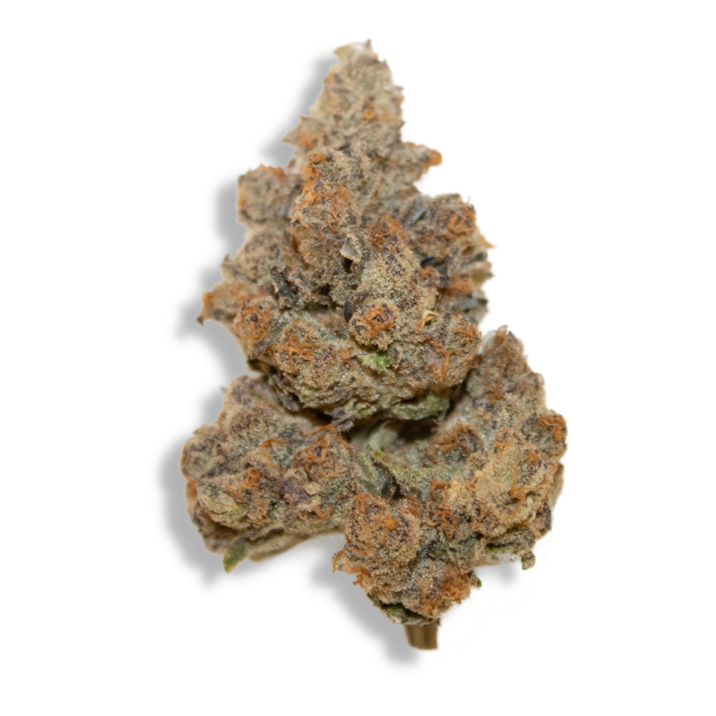 Photograph of product: Gold Shelf - Punch Breath (H) - 28g