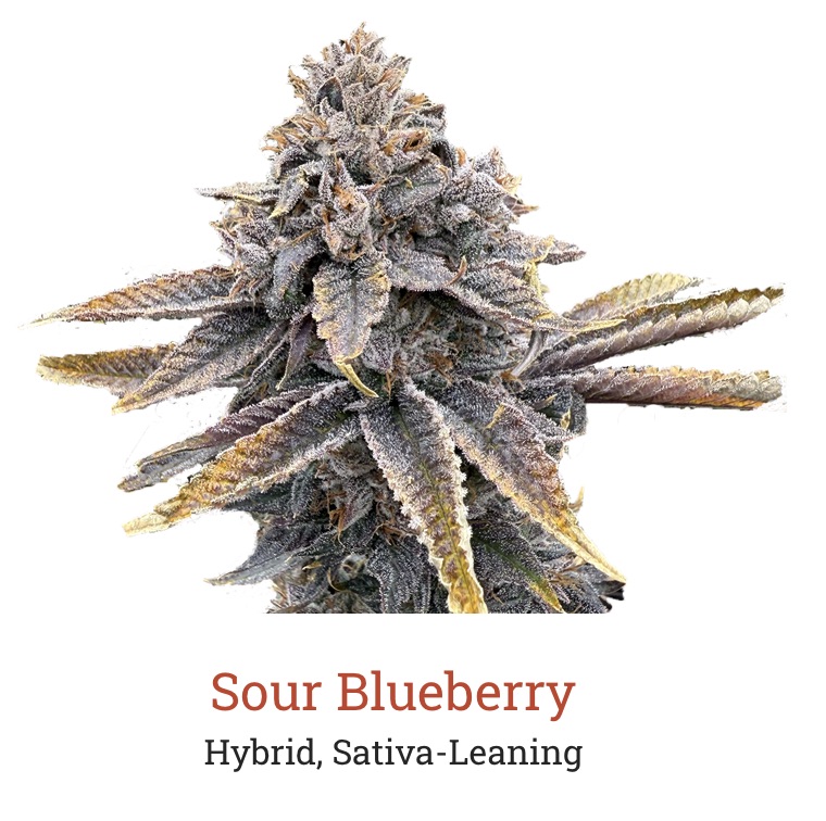 Photograph of product: Victory Natural Farms - Sour Blueberry - 3.5g