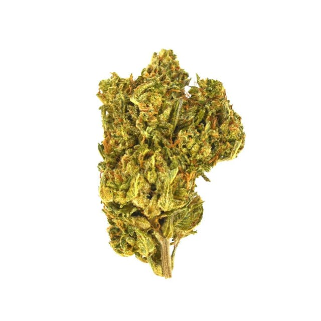 Photograph of product: Animal Cookies | 28G - 