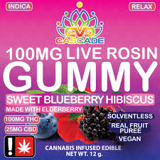 Photograph of product: Cascade Valley Oui'd | Sweet Blueberry Hibiscus  | 100mg Rosin Gummy