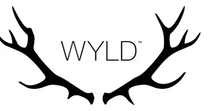 Photograph of product: Wyld CBD - Elderberry 5:1 CBD:CBN 20ct Gummy - Hemp Edible - 500mg