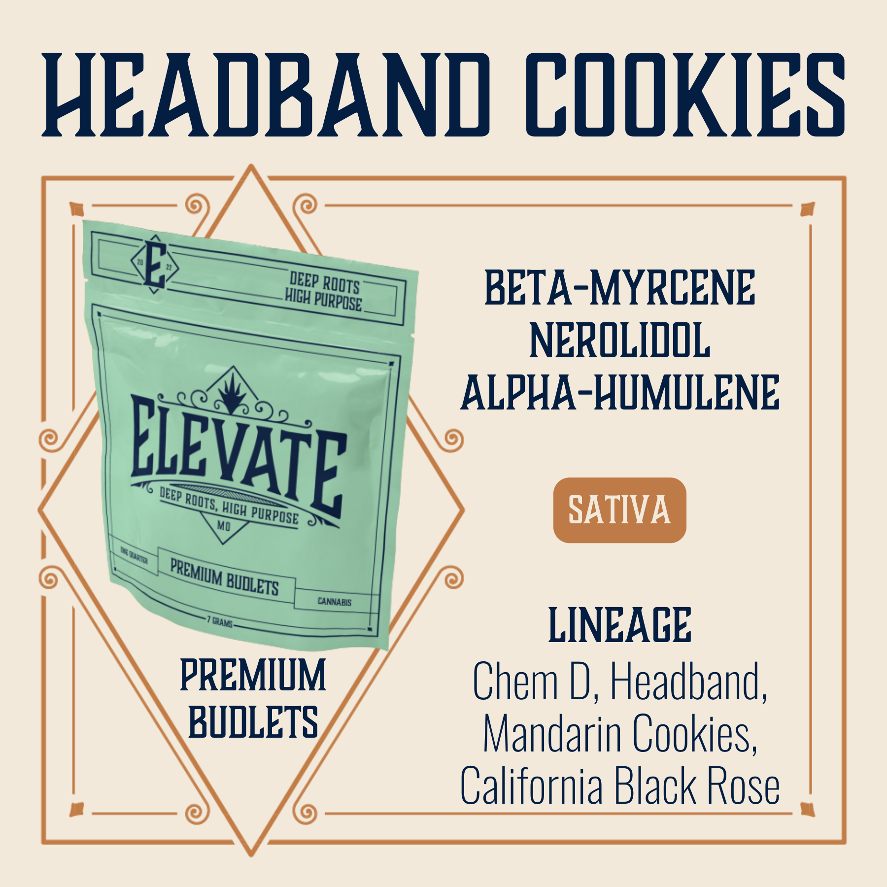 Photograph of product: Headband Cookies Budlets | 7g