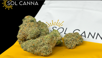 Photograph of product: Graboid Fuel | Flower - 28g