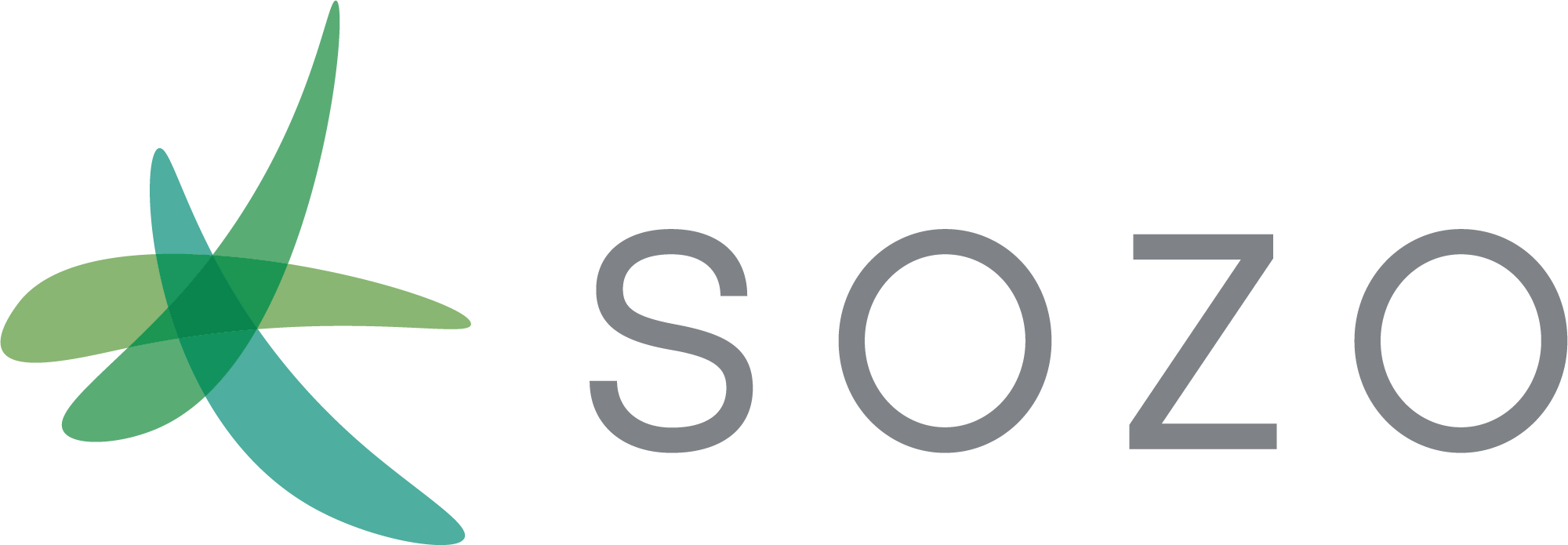 Photograph of product: Sozo | Facetz | Smalls 1oz - 28g