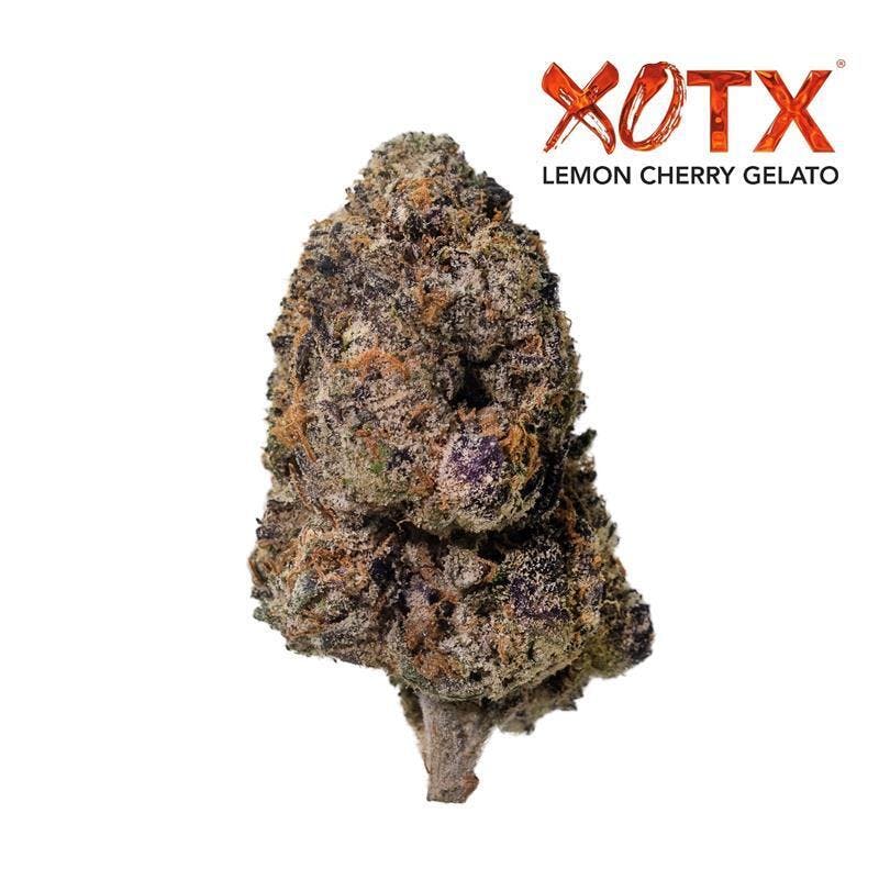 Photograph of product: XOTX - 28g Lemon Cherry Gelato