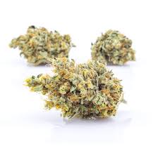 Photograph of product: Flower | Pre-Packed | Glue | 3.5g | LegaSea