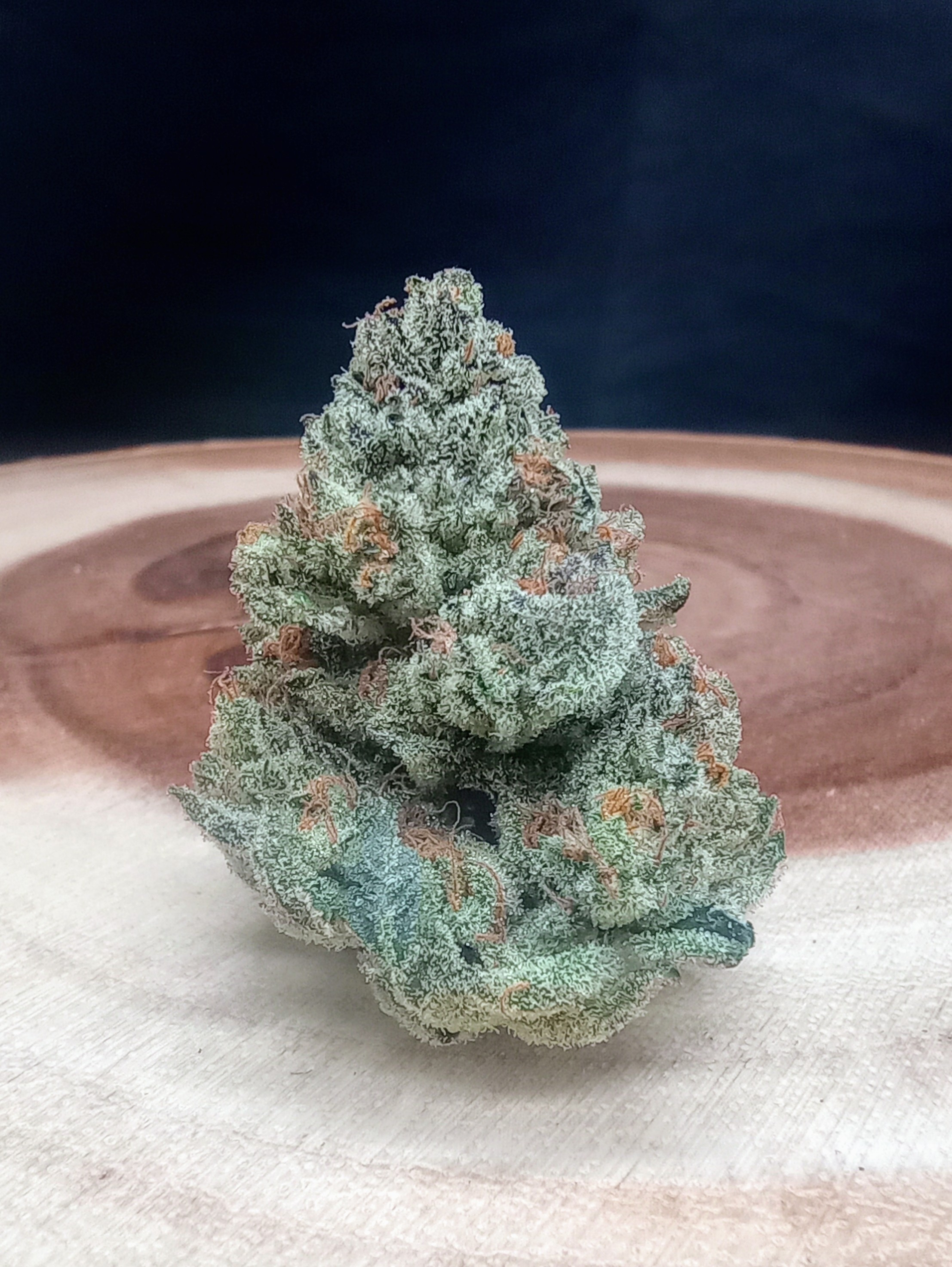 Photograph of product: Hamantaschen Cookies x Sherbanger - 33.5g
