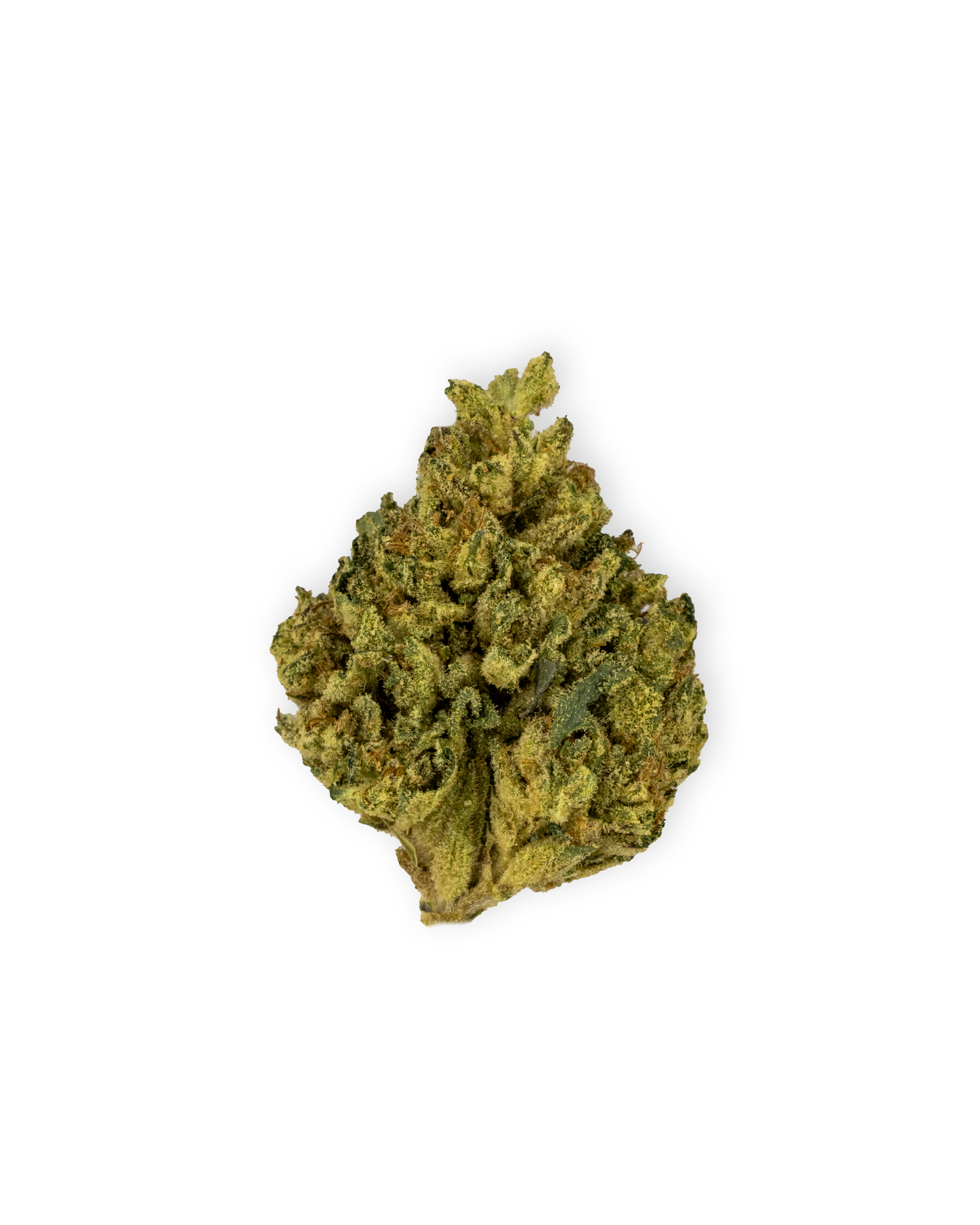 Photograph of product: BISCOTTI | 3.5 g - 3.5g