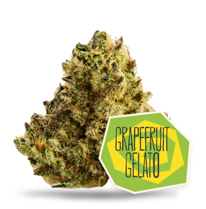 Photograph of product: District Oui'd - Grapefruit Gelato Pre-Packaged (3.5g)