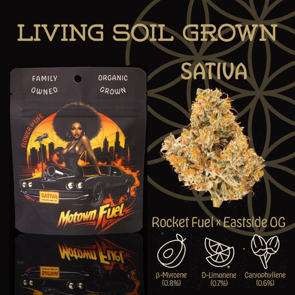 Photograph of product: Flower of Life - Bulk Flower - Motown Fuel - 28g
