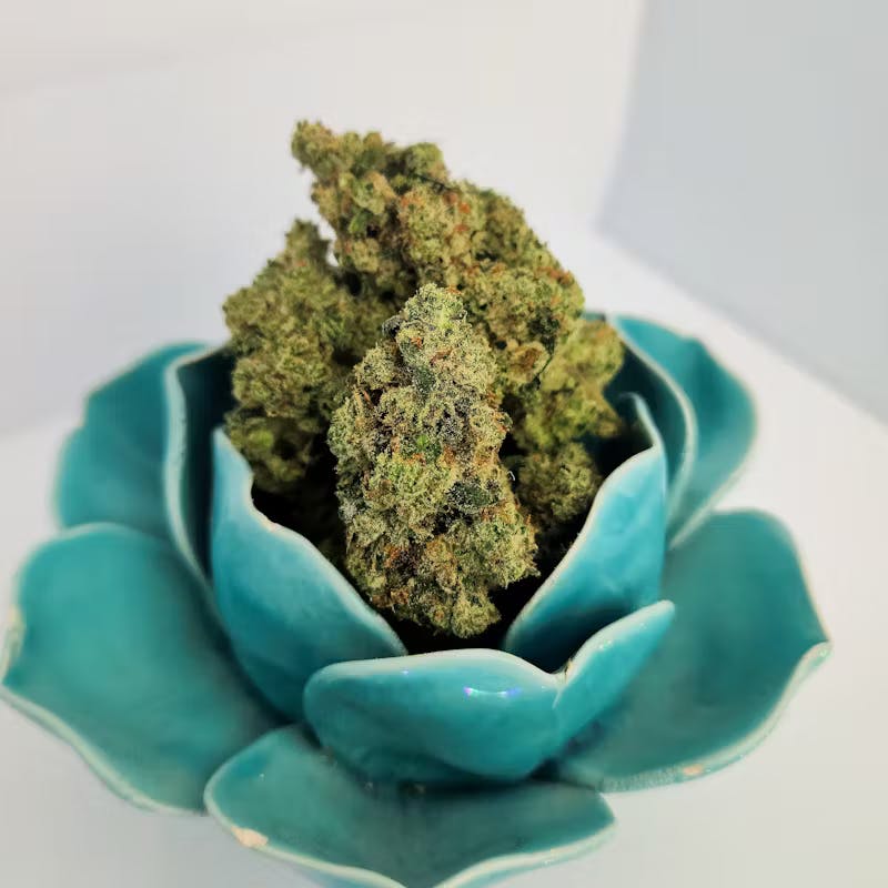 Photograph of product: VERDE | Buds | (I) Motorbreath #15
