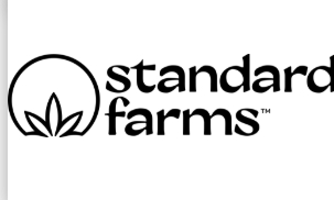 Photograph of product: Peanut Butter Pie | 1oz | Premium Buds - 28g