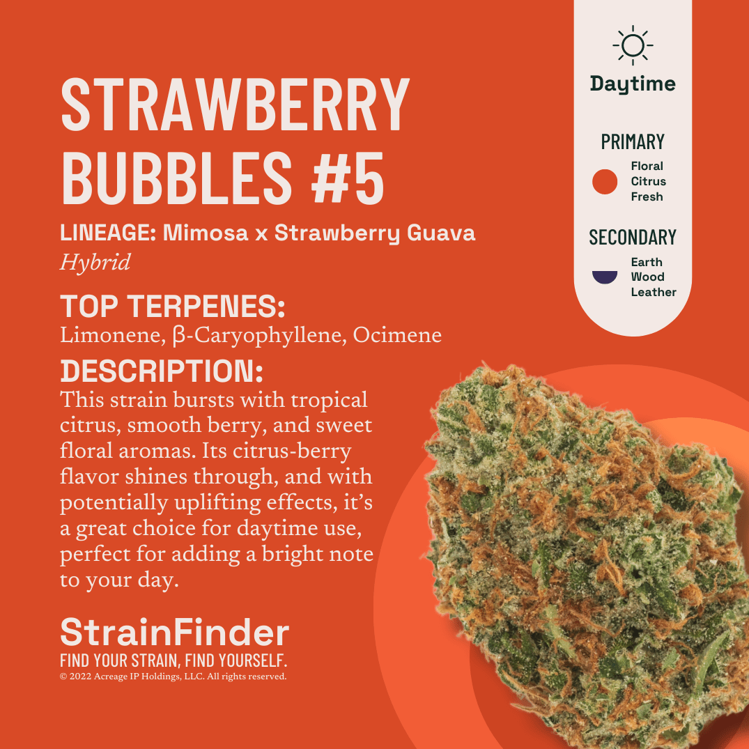 Photograph of product: THE BOTANIST STRAWBERRY BUBBLES #5 FLOWER - 3.5g