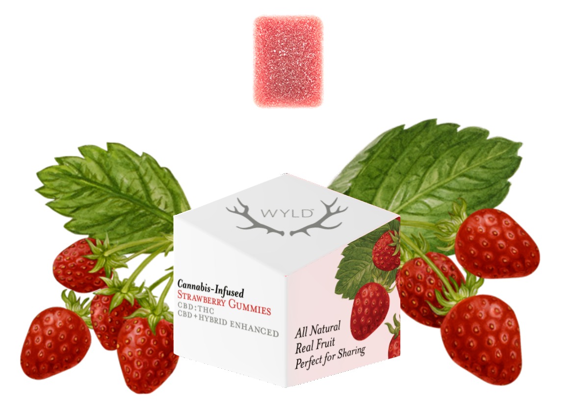 Photograph of product: 10mg | 1:20 THC:CBD | Gummies