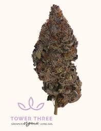 Photograph of product: TOWER THREE | RASPBERRY MANGO TK (H) - 3.5g