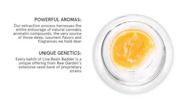 Photograph of product: Raw Garden - Live Badder Secret Fire 1g - Raw Garden - Live Badder Secret Fire 1g