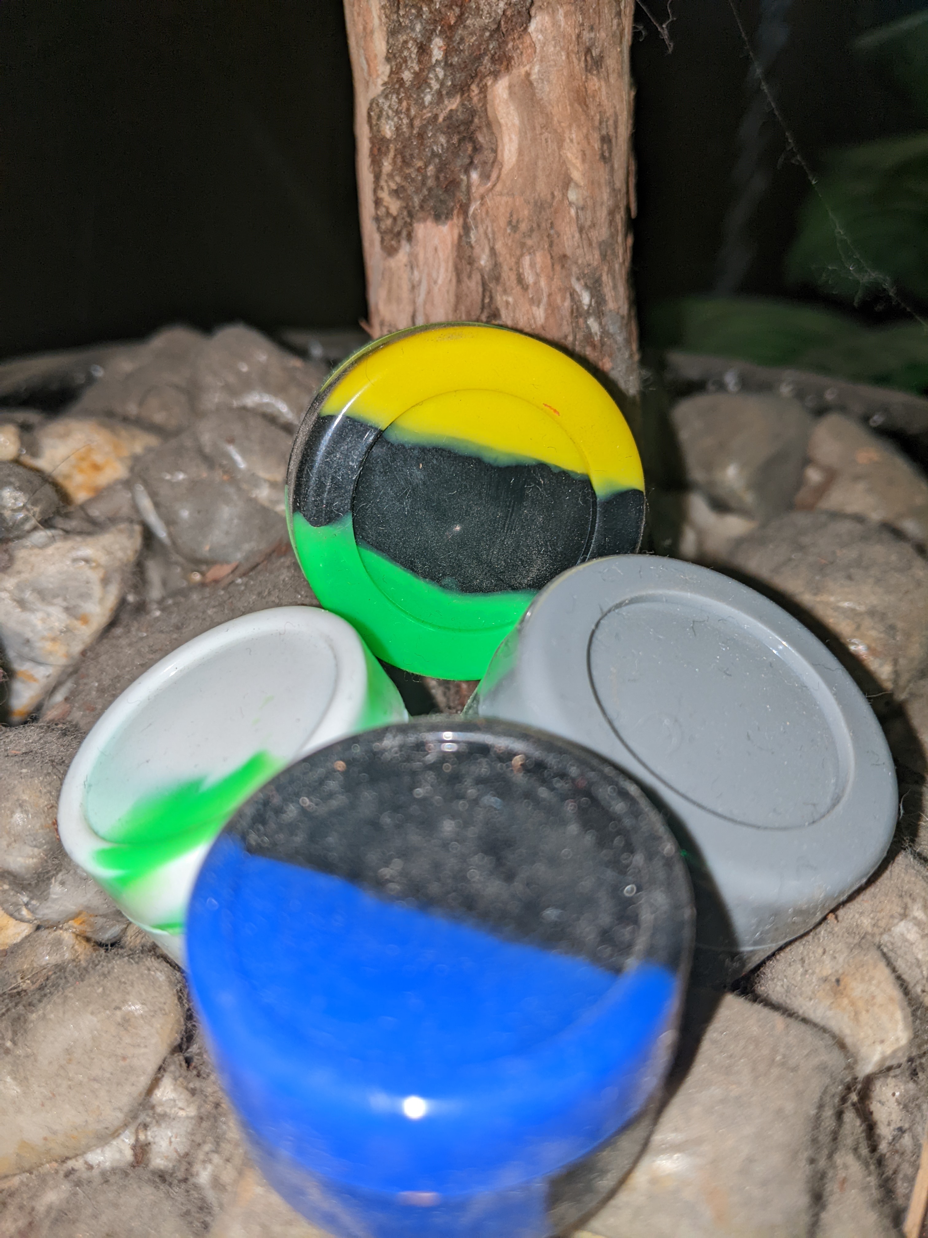 Photograph of product: Silicone Container - assorted sm
