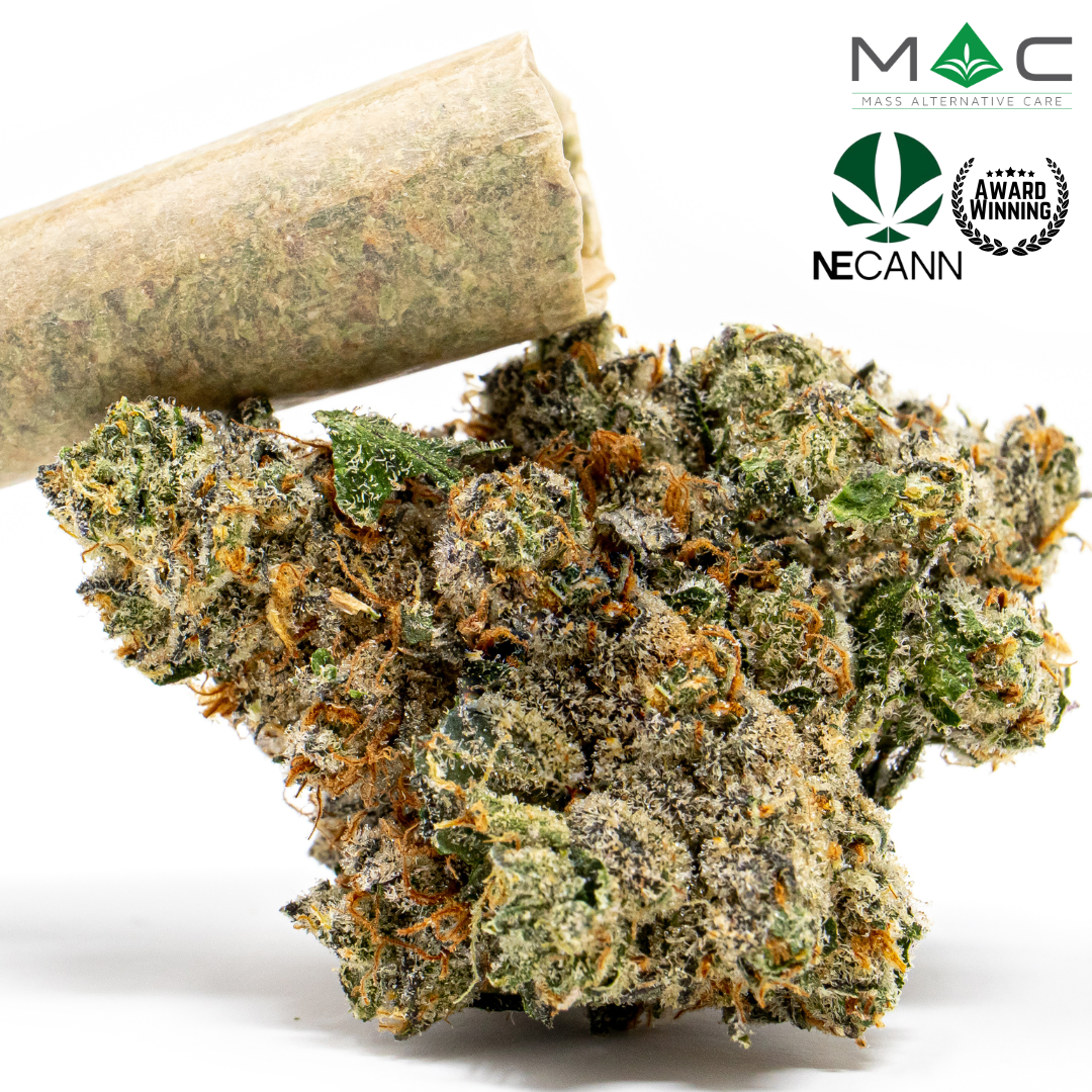 Photograph of product: PB N' Chocolate | Pre Rolls | 1g