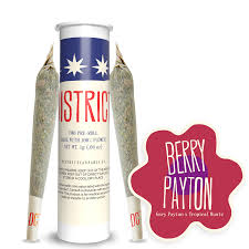 Photograph of product: DC | Berry Payton PRJ - 1g