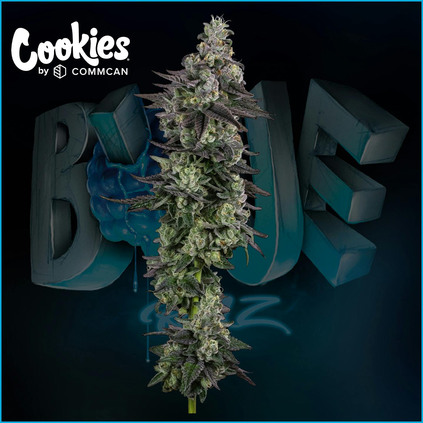 Photograph of product: Blue Raz