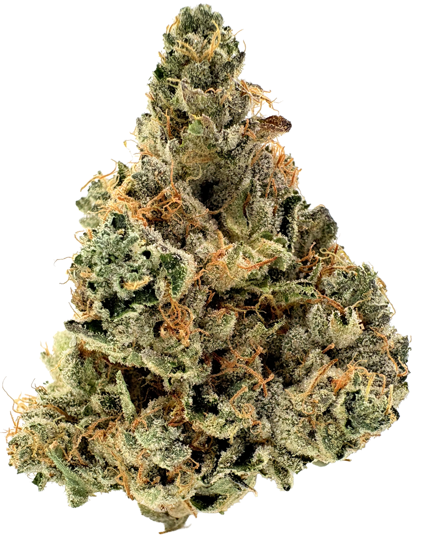 Photograph of product: CBX | Casino Kush | 3.5G