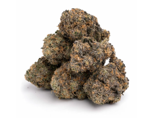 Photograph of Product: Boloz - 1g