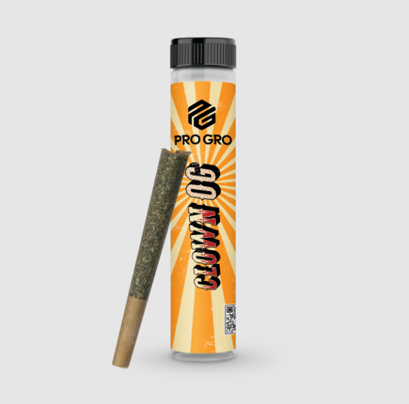 Photograph of product: Clown OG | Pro Gro