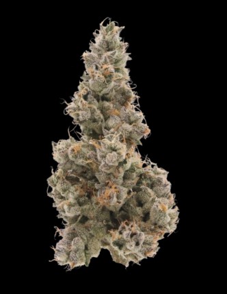 Photograph of Product: Sense Sour Diesel - 3.5g