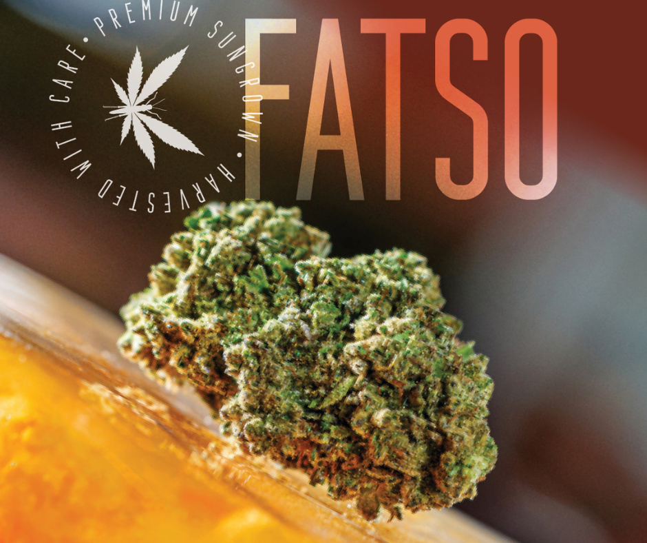 Photograph of product: Grasshopper Farms | Fatso | Oui'd | Bulk Flower | BRONZE - 1g
