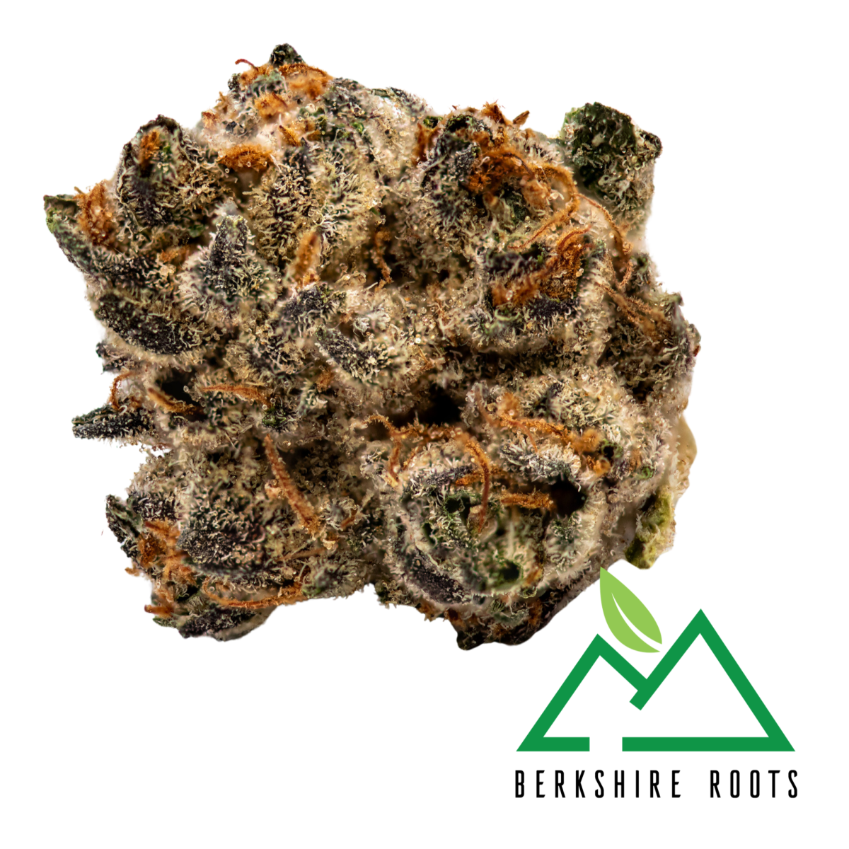 Photograph of product: Mandarin Cookies Buds | 3.5g