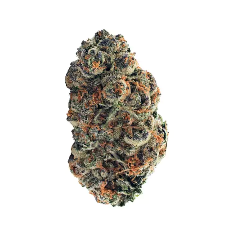 Photograph of product: Aeterna Oui'd (Mixed Light) - Papaya Cake - 3.5g