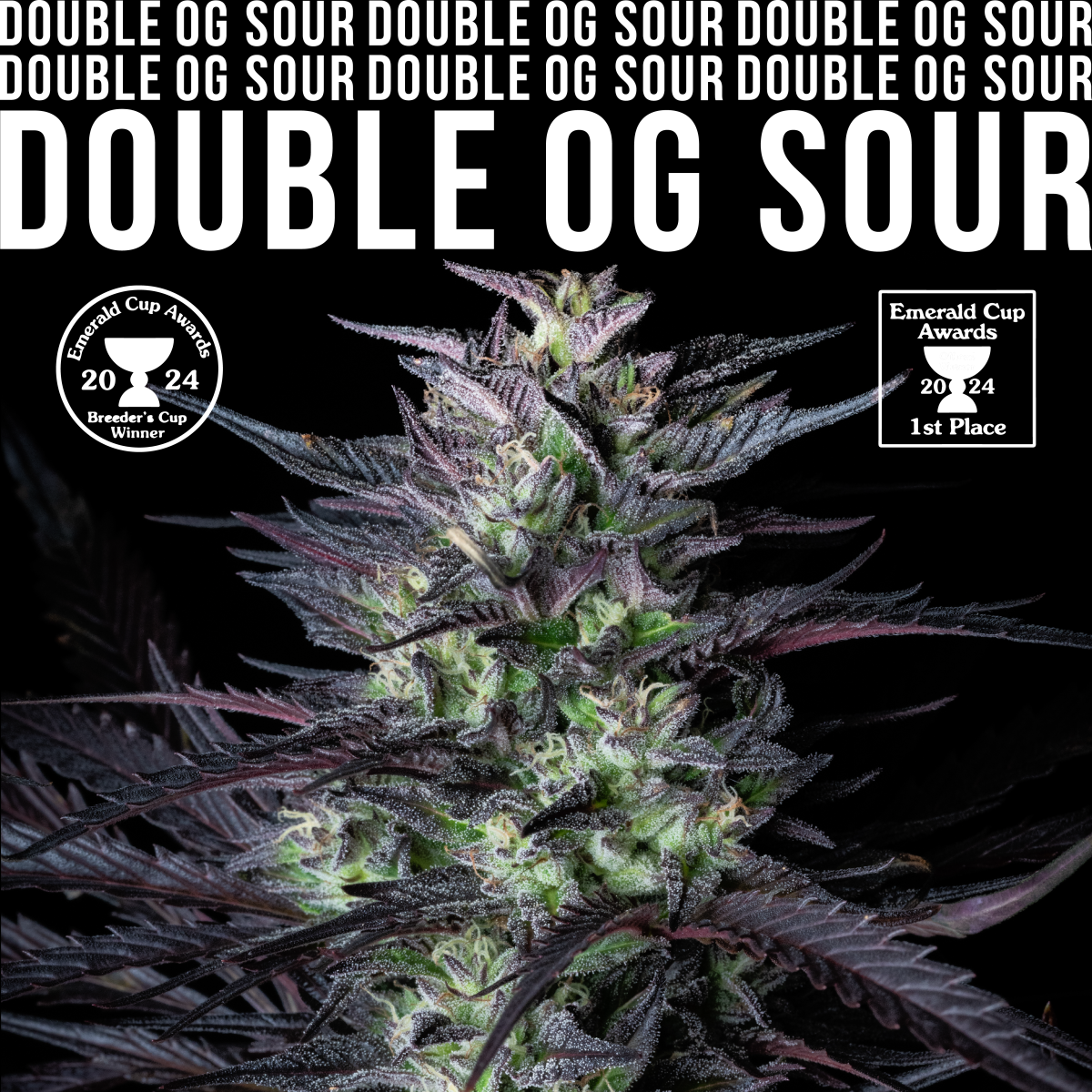 Photograph of product: Rebel Grown | Double OG Sour | Bulk Flower - 28g