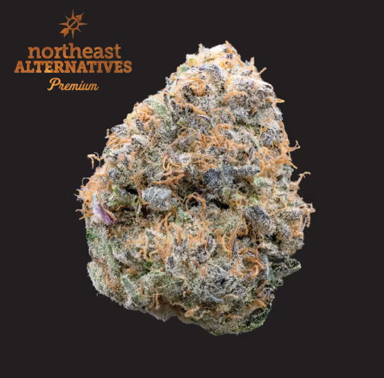 Photograph of product: Northeast Alternatives | Sherbert Honey | Flower - 3.5g