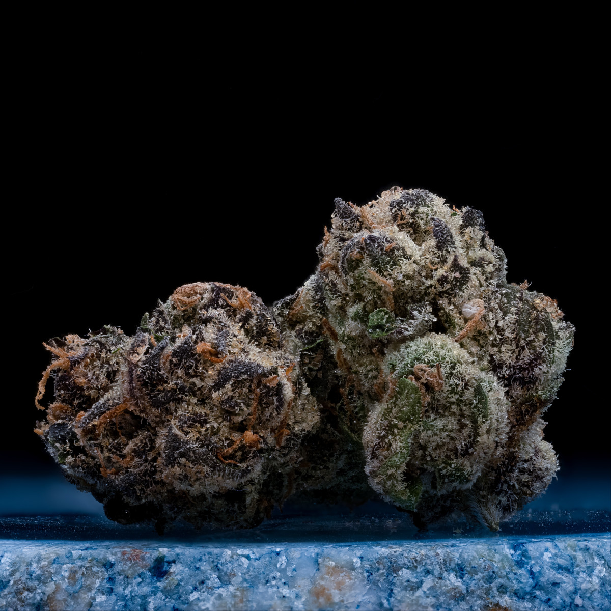 Photograph of Product: Spritzer - Hybrid - 3.5g