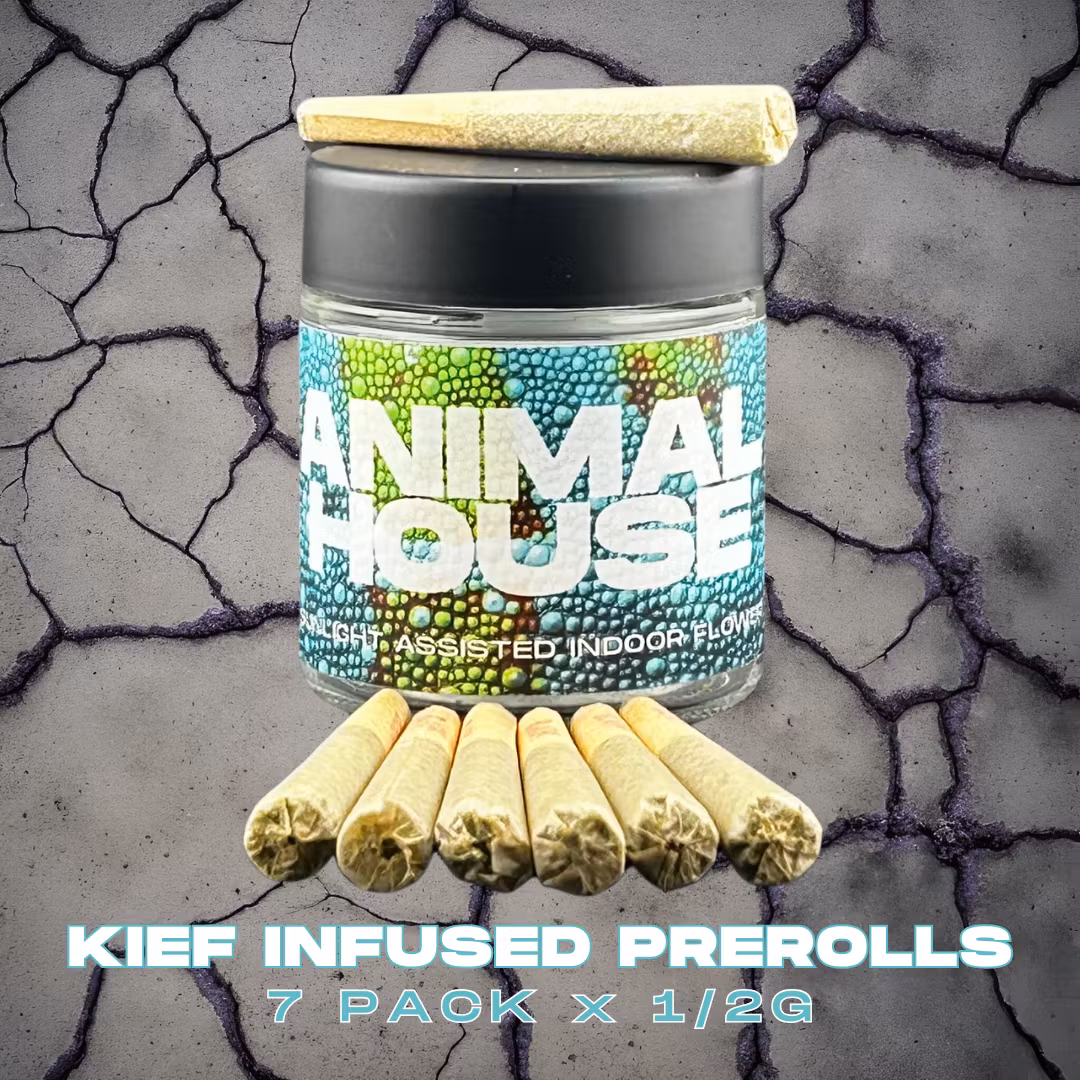 Photograph of product: Animal House | Vanilla Cream Infused Pre-Roll 7pk | Oui'd