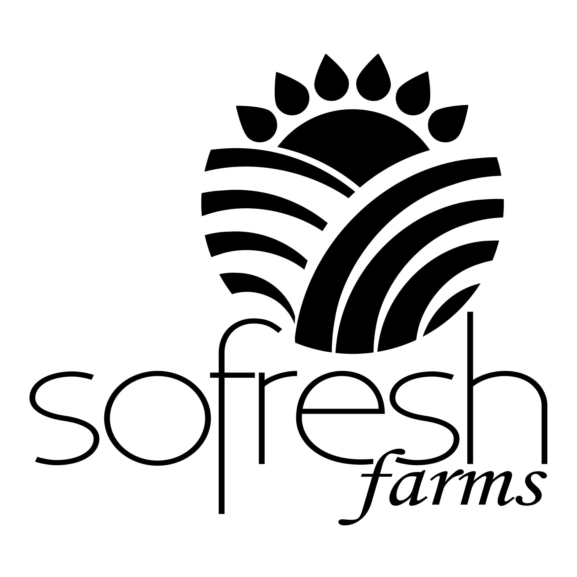 Photograph of product: SoFresh Farms - VETERANS KUSH - H - 2g