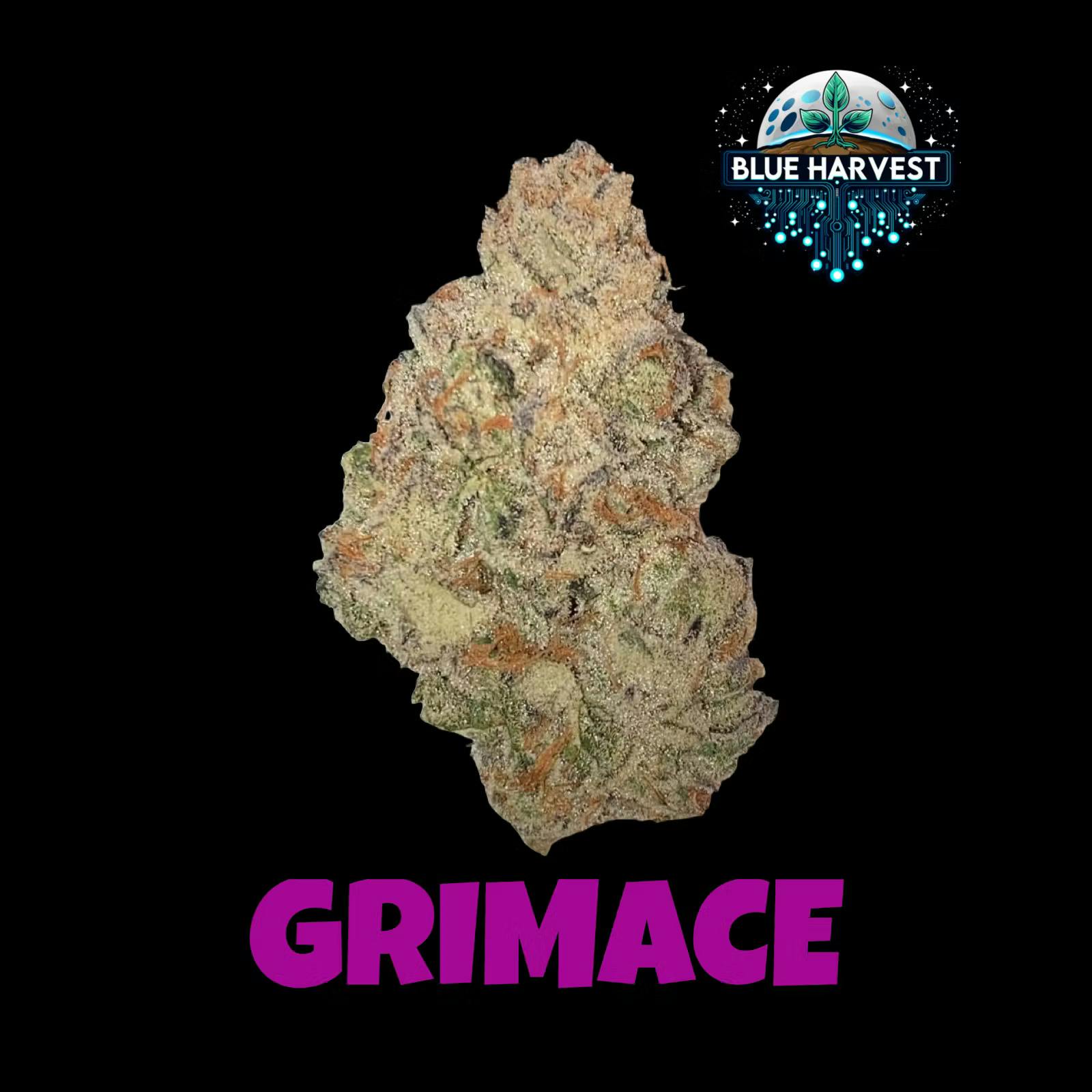 Photograph of product: Blue Harvest - Grimace - Flight Bag - 1g