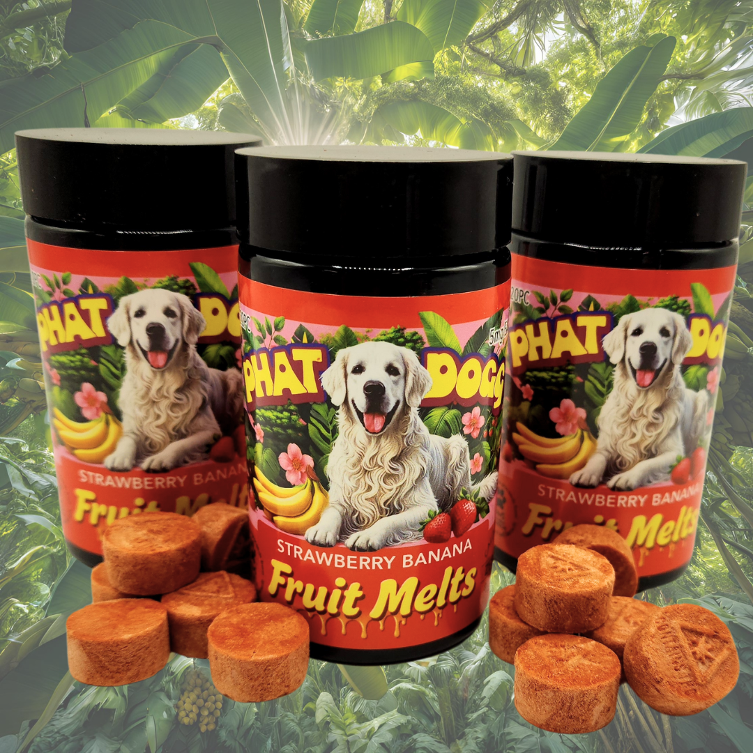Photograph of product: Strawberry Banana Fruit Melts | Strawberry Slapper au chocolat Rosin Infused | 20 Pack