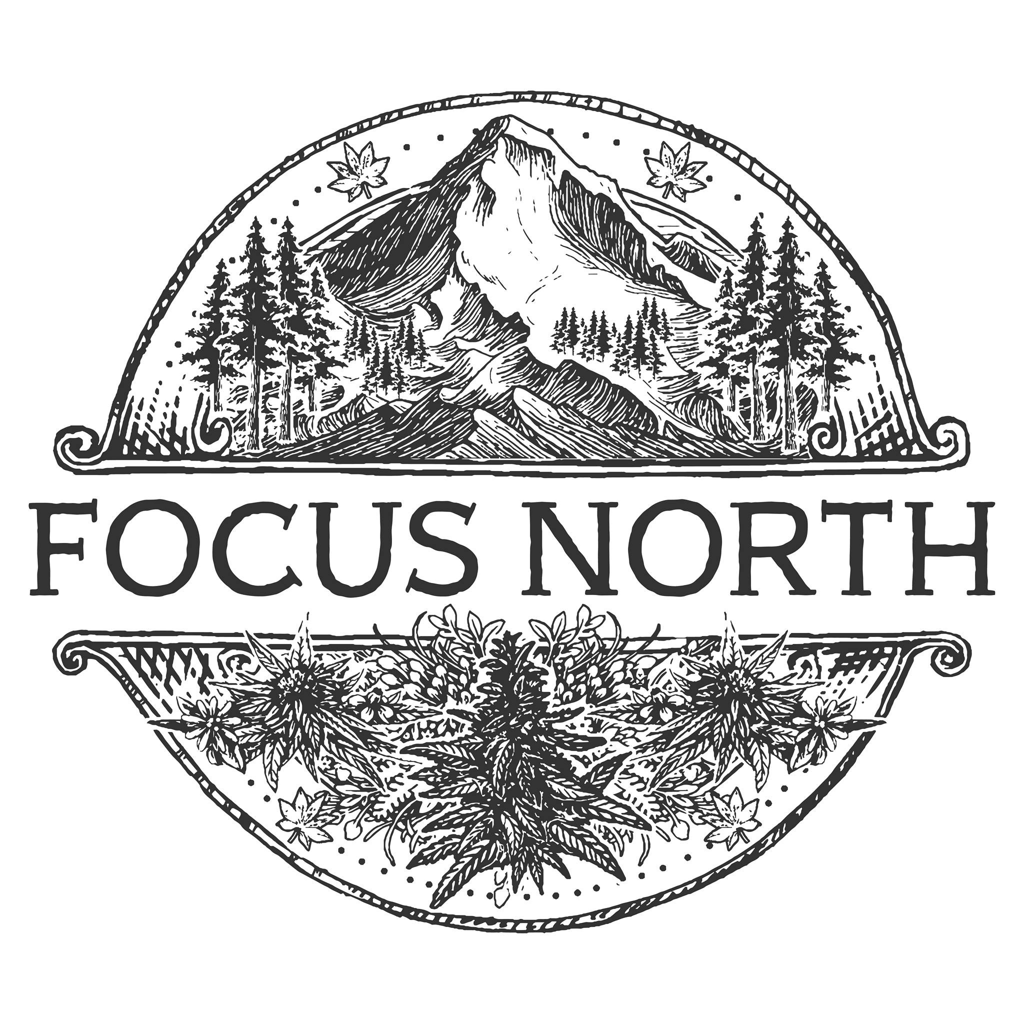 Photograph of product: Focus North STRAWBERRY TRUFFLES Live Rosin
