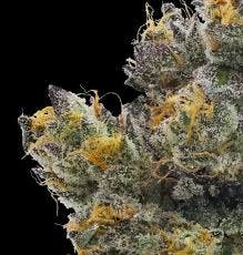 Photograph of product: Couch Rider - Eighth