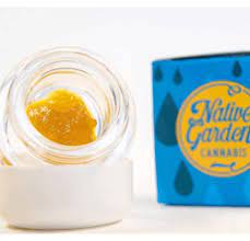 Photograph of product: NATIVE GARDEN - EXTRACT - SUGAR - 1G - Oui'd - AMENSIA HAZE
