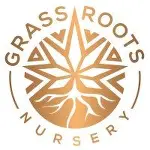 Photograph of product: Grass Roots Ghost Vapor OG AIO 2g
